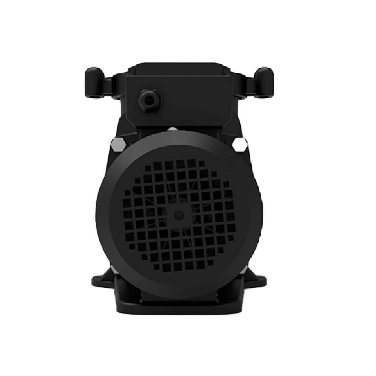 Motobomba Watex Serie Golden 1 HP 110V