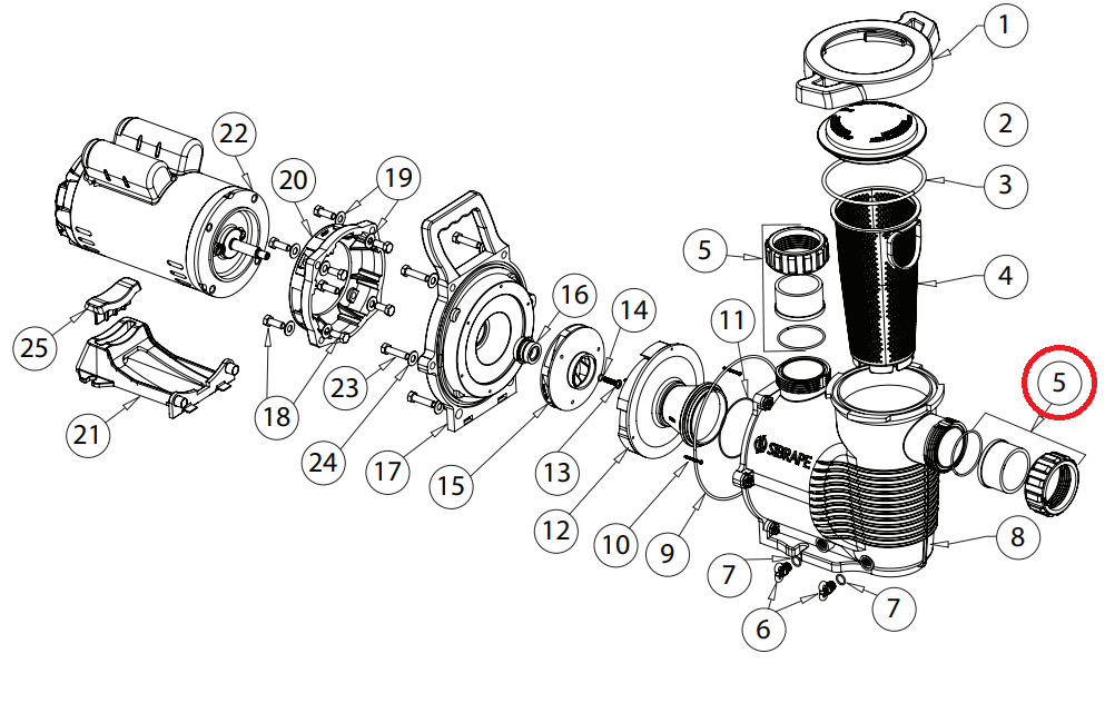 Racor Tuerca Bomba Platinum 2"