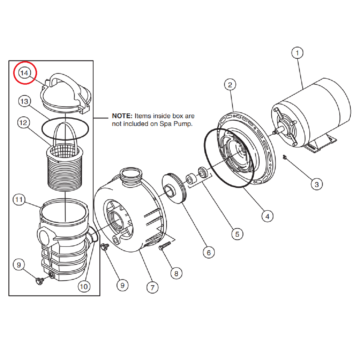 Tapa Acrílico Bomba Dynamo Pentair 354531Z
