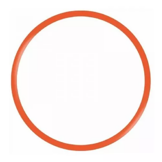 Empaque Oring Tapa Clorador Automático Panda 2 kg