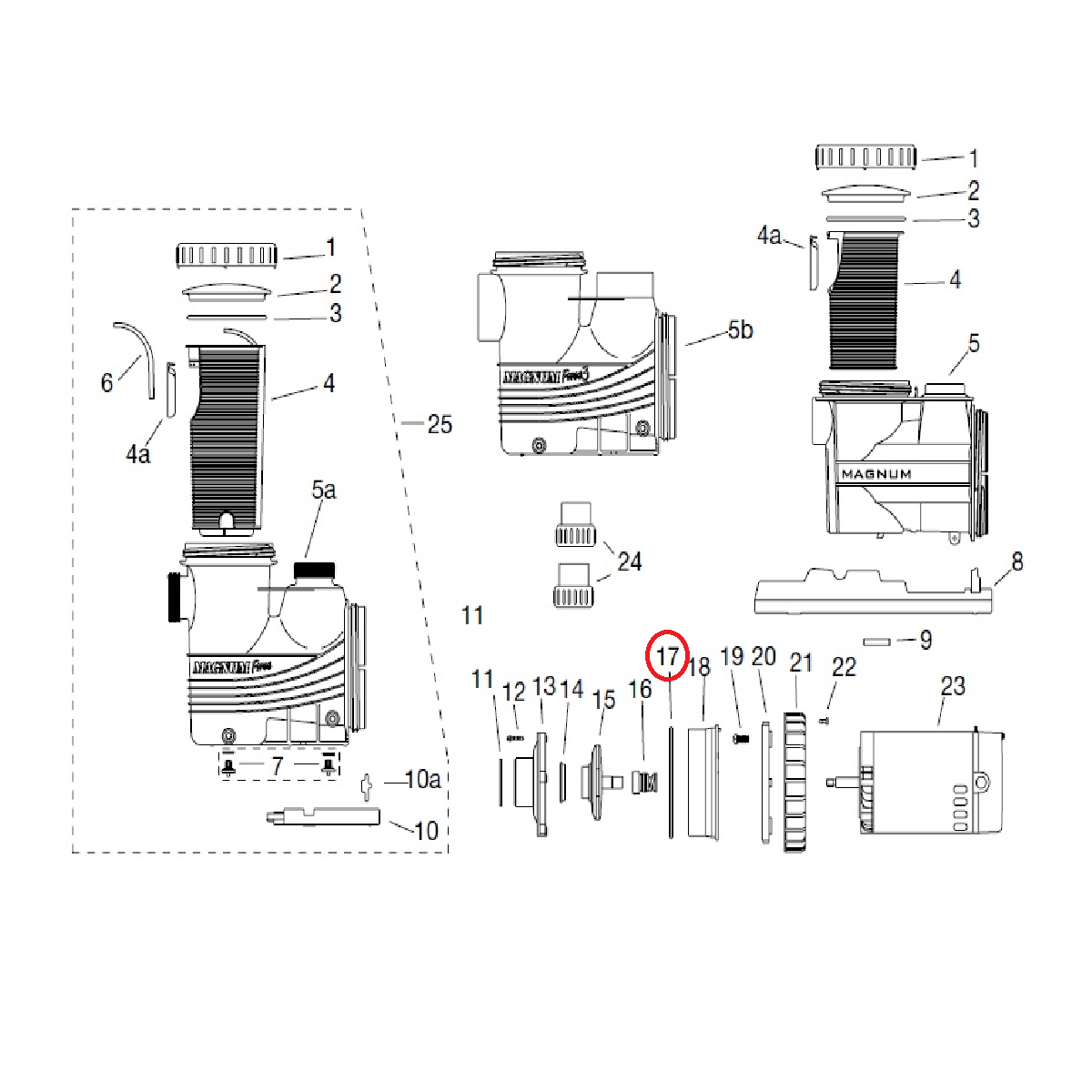 Empaque Oring Cuerpo Bomba Magnum Force Carvin