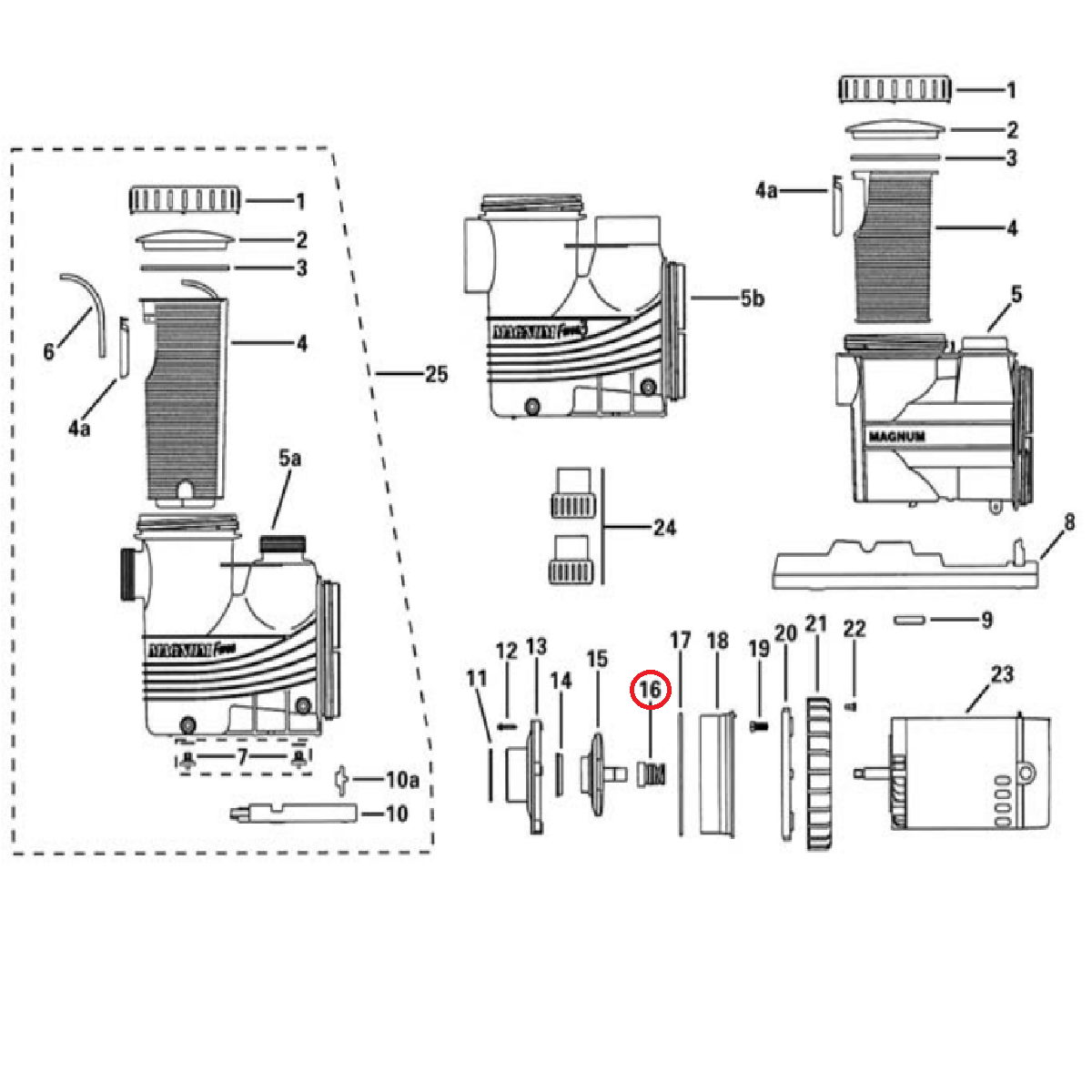 Sello Mecanico Bomba Carvin Serie Magnum Force